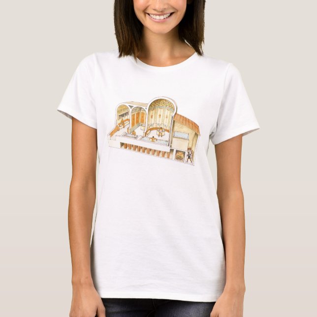 Camiseta Roma. Casas de banho privadas (Frente)