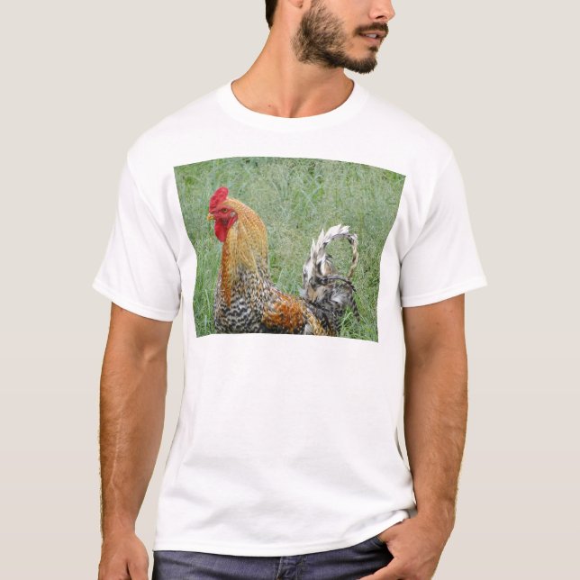 Camiseta Roosters (Frente)