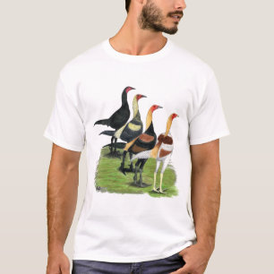 Camiseta Roosters de Jogos Modernos
