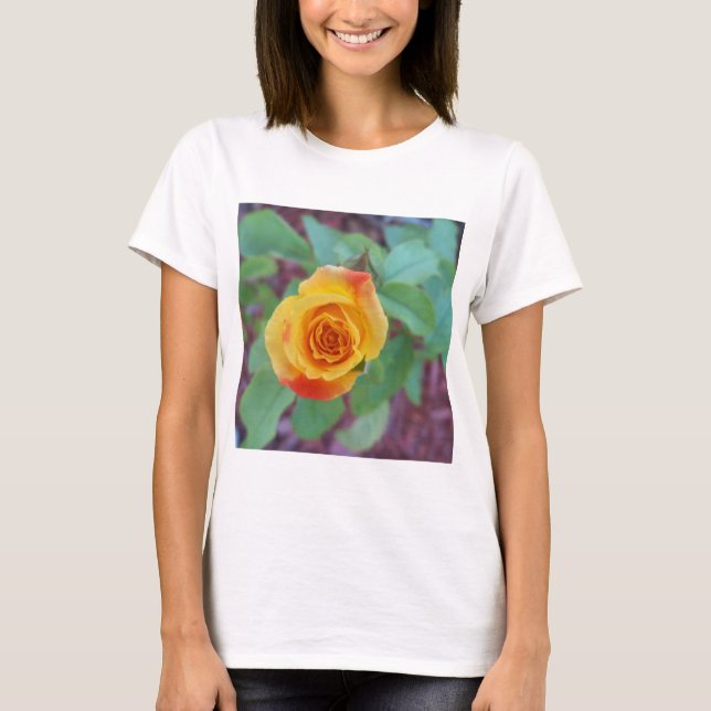 Camiseta Rosa amarela alaranjada com orvalho matinal (Frente)