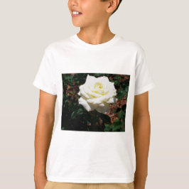 Camiseta Rosa Amarela Pálida