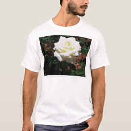 Camiseta Rosa Amarela Pálida