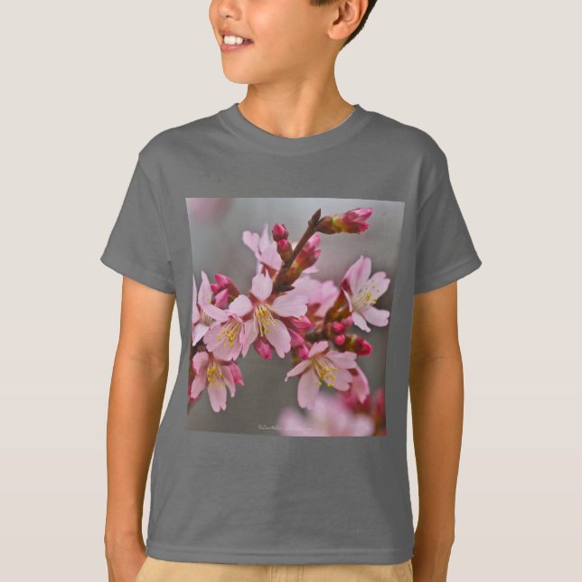 Camiseta Rosa Contra Uma Cinza Céu Japonês Blossomas De Cer (Frente)