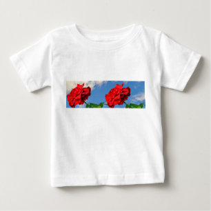 Camiseta Rosa Don Juan com um céu azul