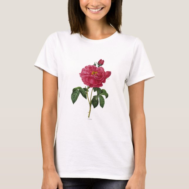 Camiseta Rosa Gallica (Frente)