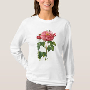 Camiseta Rosa Gallica Aurelianensis