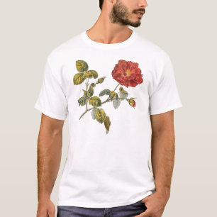 Camiseta Rosa Gallica Linda Rosa de Vintage Red Antique