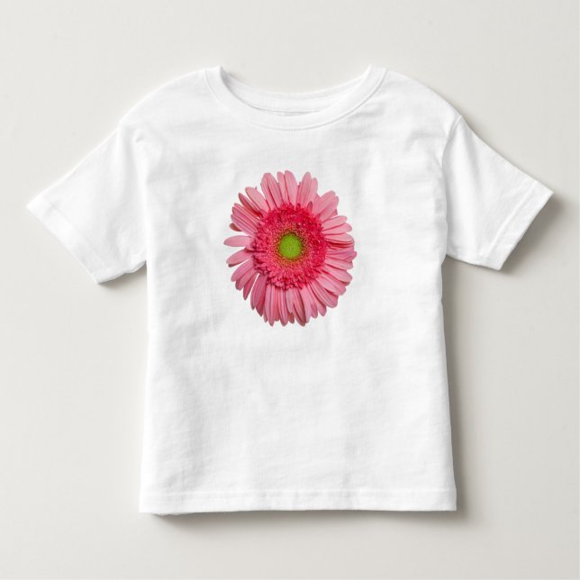 Camiseta Rosa Gerbera Daisy (Frente)