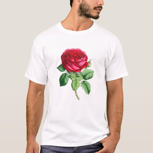 Camiseta Rosa Híbrido Perpétuo - Napoleão III (Frente)