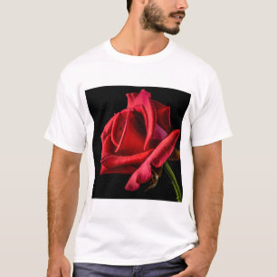 Camiseta Rosa vermelha contra fundo preto