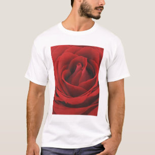 Camiseta Rosa vermelha de florescência