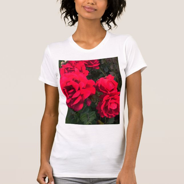 Camiseta Rosa vermelha Rosarium (Frente)