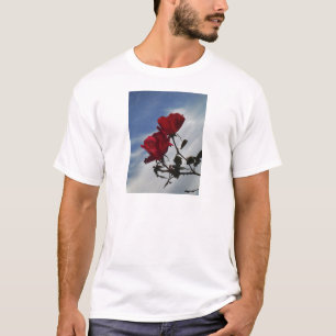 Camiseta Rosas vermelhas contra o céu azul brilhante