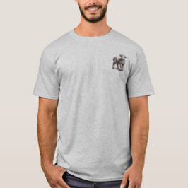Camiseta Roupa Cristão: Ele Deixou Os 99 Para Me Encontrar 
