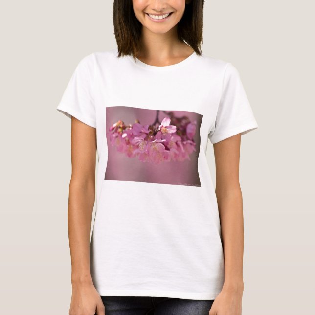 Camiseta Roupa e presentes Cherry Blossoms Hot Primavera 20 (Frente)