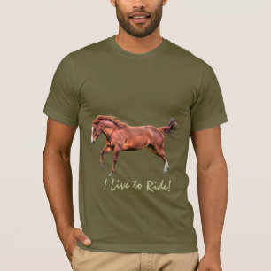 Camiseta roupa eqüino do desenhista dos Cavalo-cavaleiros