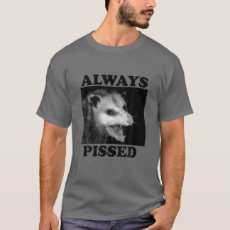Camiseta Roupa sempre piscado