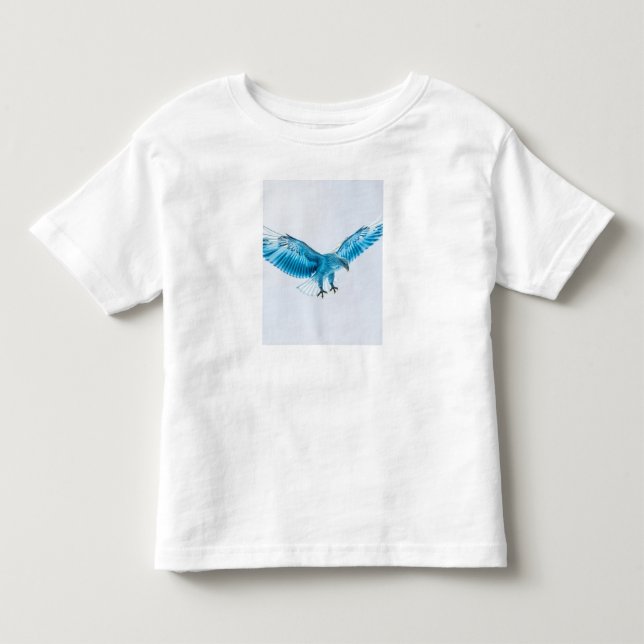 Camiseta Roupas (Frente)