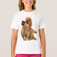 roupas de labrador retriever