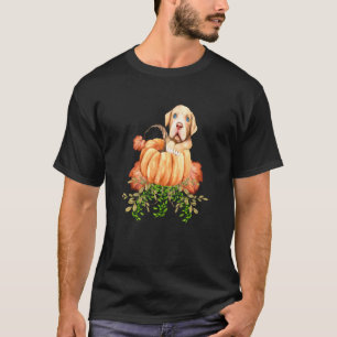 Camiseta Roupas de outono de abóbora fofas para cães Pitbul