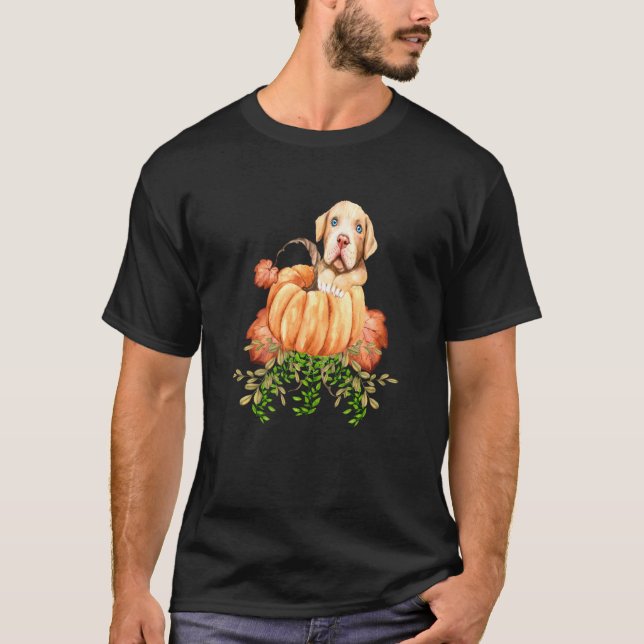 Camiseta Roupas de outono de abóbora fofas para cães Pitbul (Frente)