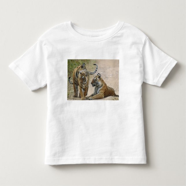 Camiseta Royal Bengal Tiger e jovens, Ranthambhor (Frente)