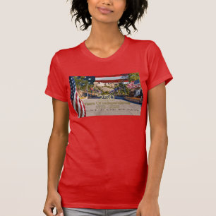 Camiseta Rua Mount Rushmore da Avenida das Bandeiras Semiqu
