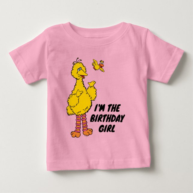 Camiseta Rua Sésamo | Aniversário do Big Bird e do Little B (Frente)