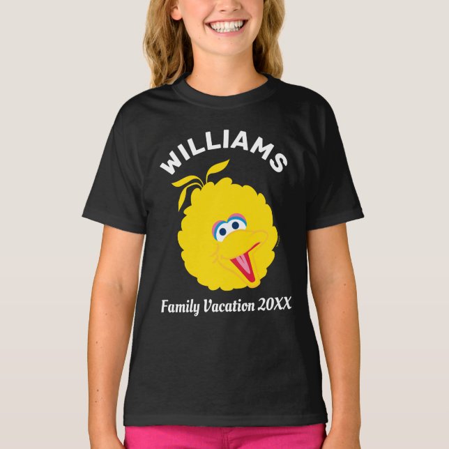 Camiseta Rua Sésamo | Férias Familiares De Aves Grandes (Frente)