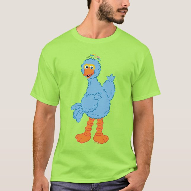 Camiseta Rua Sésamo Pino (Frente)