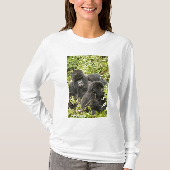 Camiseta Ruanda, Parque Nacional dos Vulcões (Frente)