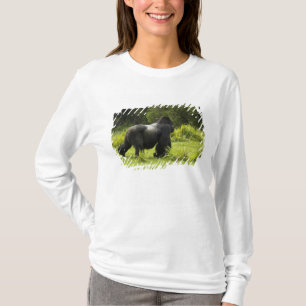 Camiseta Ruanda, Parque Nacional dos Vulcões