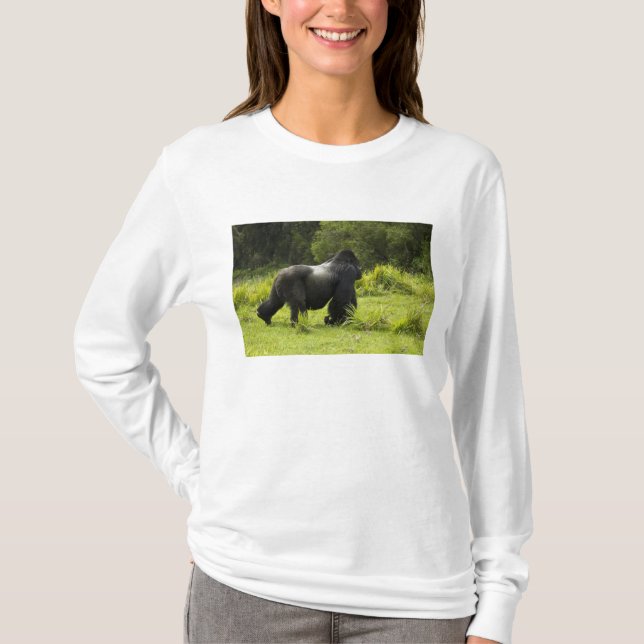 Camiseta Ruanda, Parque Nacional dos Vulcões (Frente)