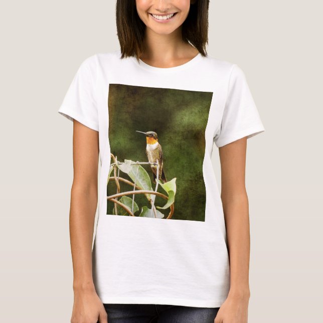 Camiseta Ruby Throated Hummingbird (Frente)