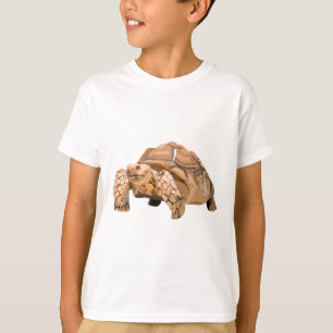 Camiseta S é para Sulcata Tortoise