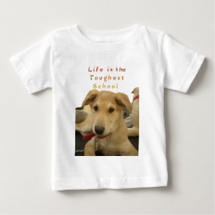 Camiseta Sabedoria ouro: Uma Visão Cachorra da Escola da Vi