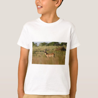 Camiseta Safari Adventure Buddy Animal Friend Tee for Kids