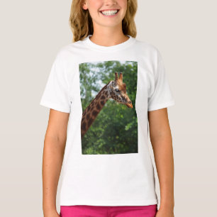 Camiseta Safari Africa Mod Chic Classy Destiny Giraffe