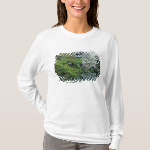Camiseta Sakura, Jardim Koishikawa Koraku-en, Tóquio,