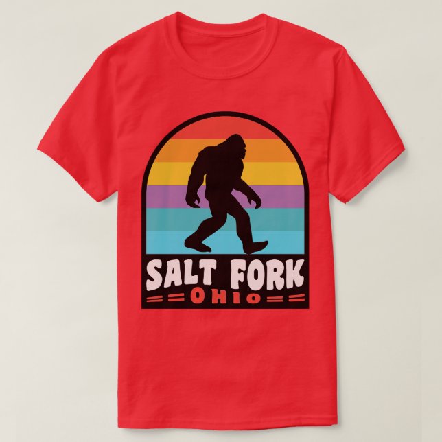 Camiseta Salt Fork State Park Ohio (Frente do Design)