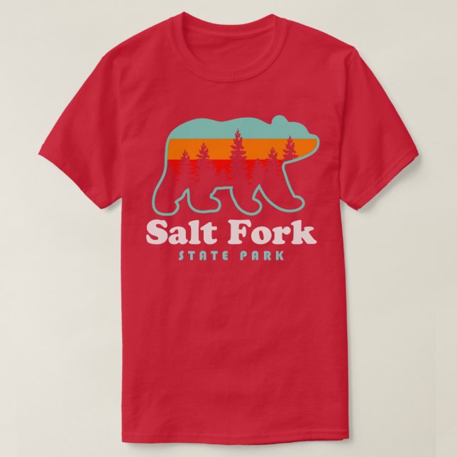 Camiseta Salt Fork State Park Ohio Bear Retro Sunset (Frente do Design)