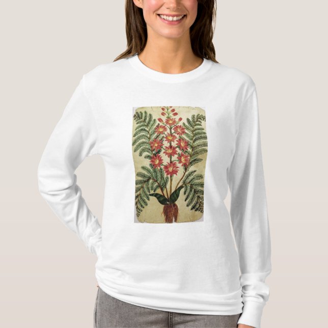 Camiseta Samambaia com as flores vermelhas e amarelas (Frente)