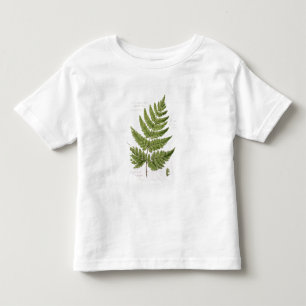 Camiseta Samambaia de broquel Espinhoso-dentada larga,