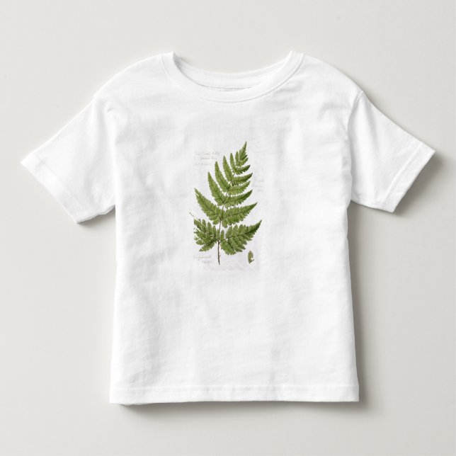 Camiseta Samambaia de broquel Espinhoso-dentada larga, (Frente)