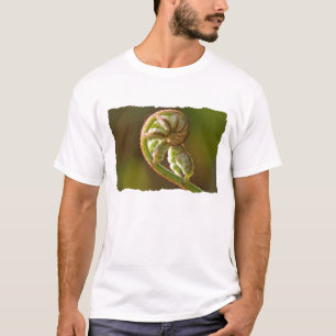 Camiseta Samambaia de Fiddlehead