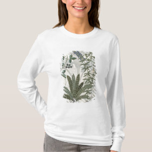 Camiseta Samambaias, amoras e flores