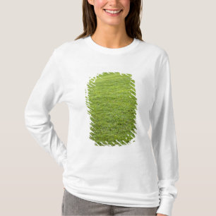 Camiseta San Juan, Porto Rico - A grama verde é