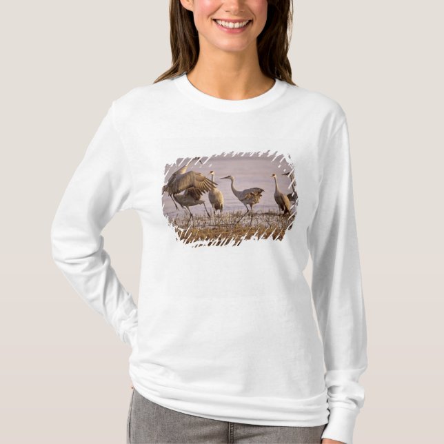 Camiseta Sandhill Cranes Grus canadensis) (Frente)