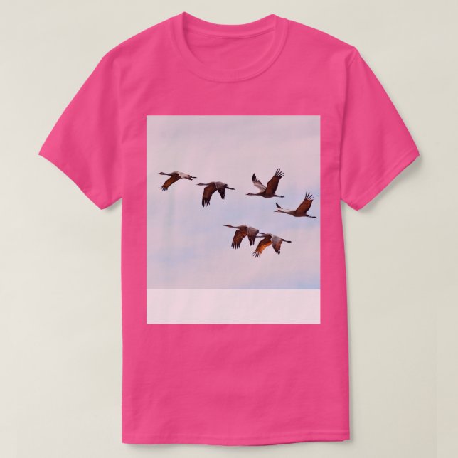 Camiseta Sandhill Cranes Migration Nebraska Birwatch (Frente do Design)