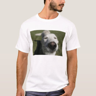 Camiseta Santa Fé, Novo México